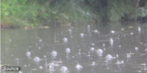 Monmouth & Brecon Paddle - Day One