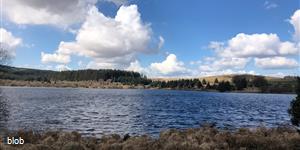 Fernworthy reservoir from Chagford common