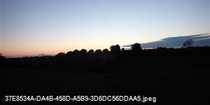 Reaping the benefits 