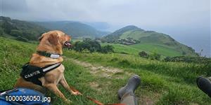 Valley of Rocks and Ticks